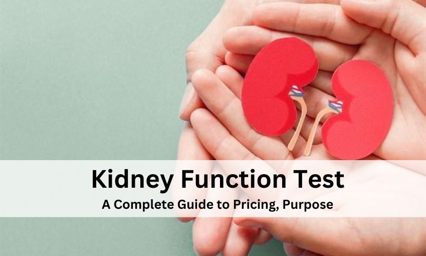 Kidney Function Test Cost