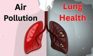 Air Pollution in Delhi NCR