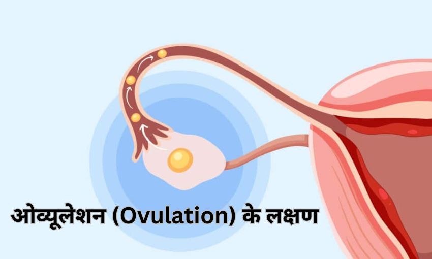 Ovulation Symptoms in Hindi