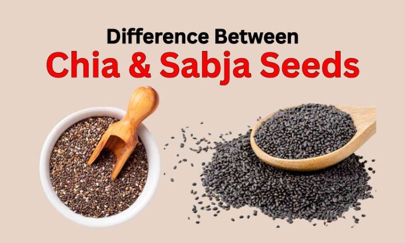 Chia Seeds and Sabja Seeds – Benefits, Uses & Difference
