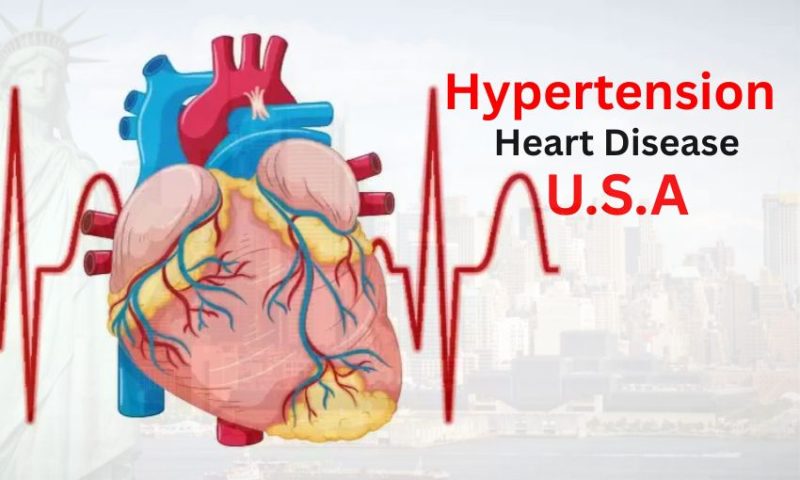 Hypertension Heart Disease in USA: Types, Symptoms & Care