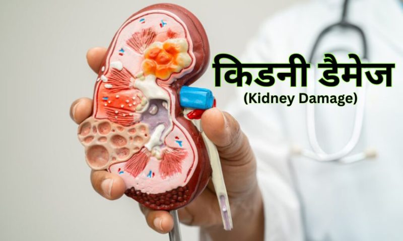 Kidney Damage in Hindi – लक्षण, कारण और बचाव की जानकारी