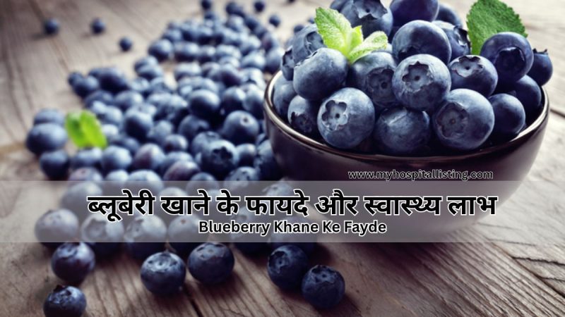 Blueberry Khane Ke Fayde: ब्लूबेरी क्या है, ब्लूबेरी खाने के फायदे और स्वास्थ्य लाभ-Blueberries in Hindi