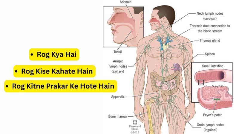 Rog Kya Hai | Rog Kise Kahate Hain | Rog Ke Prakar aur Karan